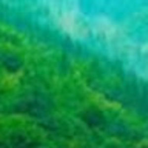 Meet your Posher, Alan